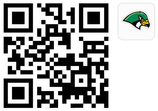 qr code + icon